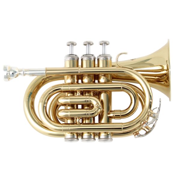 Soundsation STPGD-10P Pocket trumpet in Bb