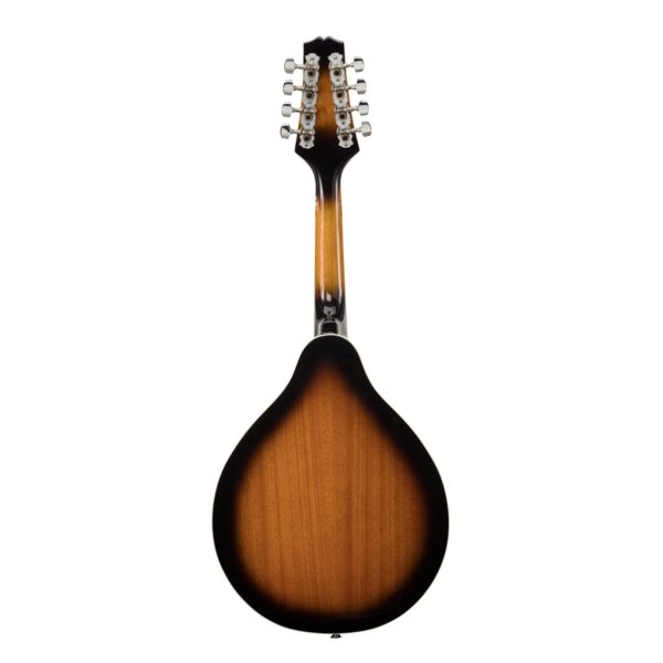 Soundsation BMA-60E VS Bluegrass mandolin plywood lucfenyõ fedlappal