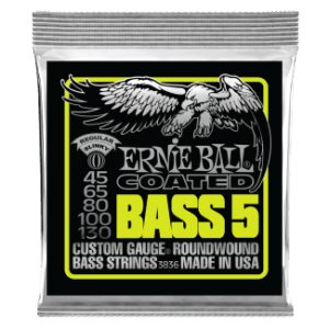 Ernie ball coated 5 string slinky bass 45-130