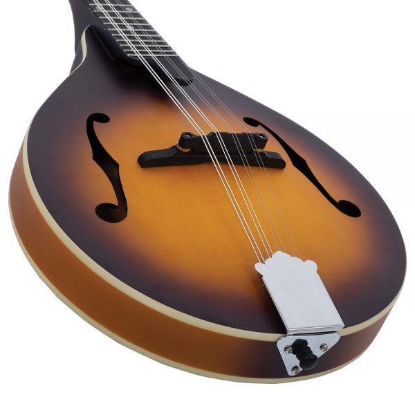 Recording King A-style mandolin