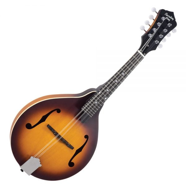 Recording King A-style mandolin